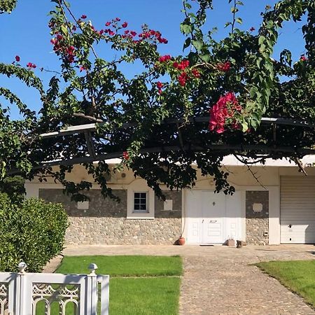 Villa Amalaya Flampouria エクステリア 写真