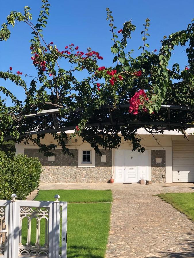 Villa Amalaya Flampouria エクステリア 写真